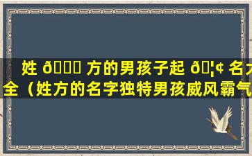 姓 💐 方的男孩子起 🦢 名大全（姓方的名字独特男孩威风霸气）